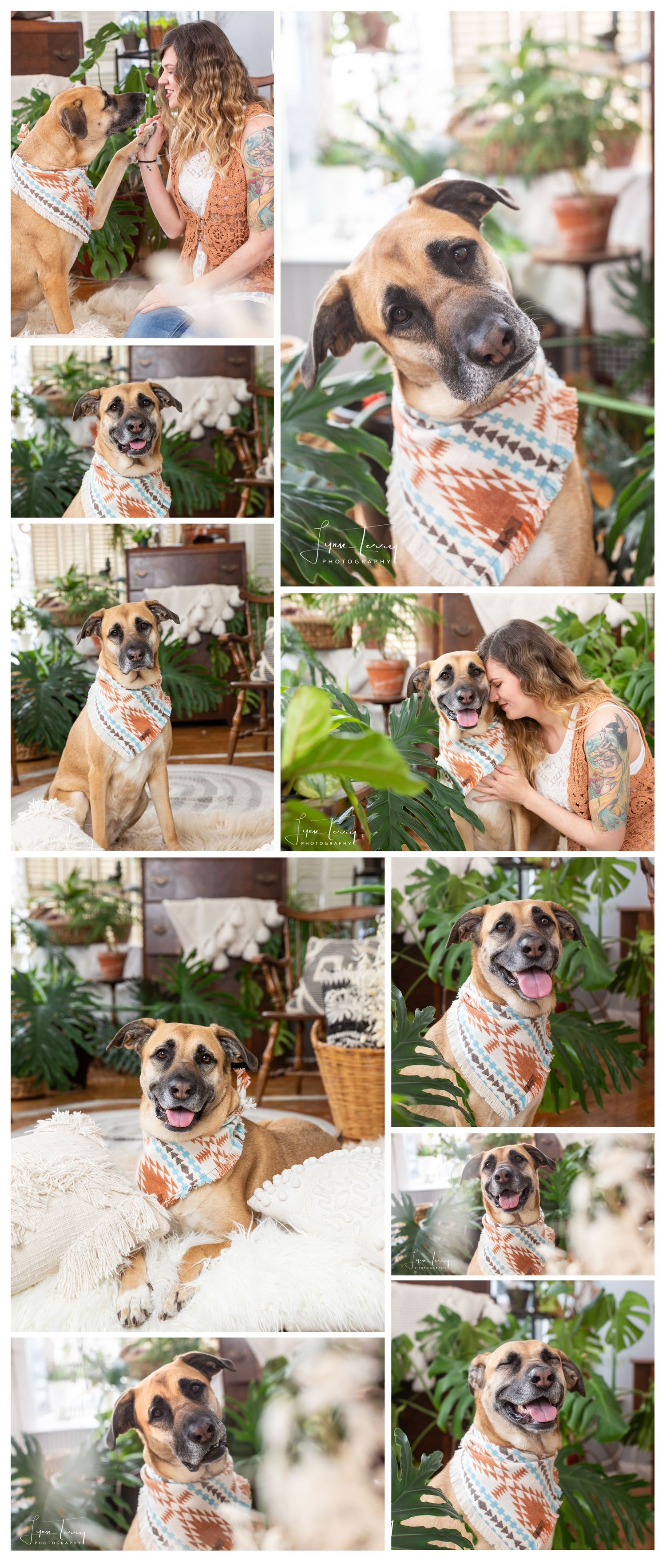A tan dog wearing a boho bandana poses with a tattooed woman among lush indoor plants in a bright studio.