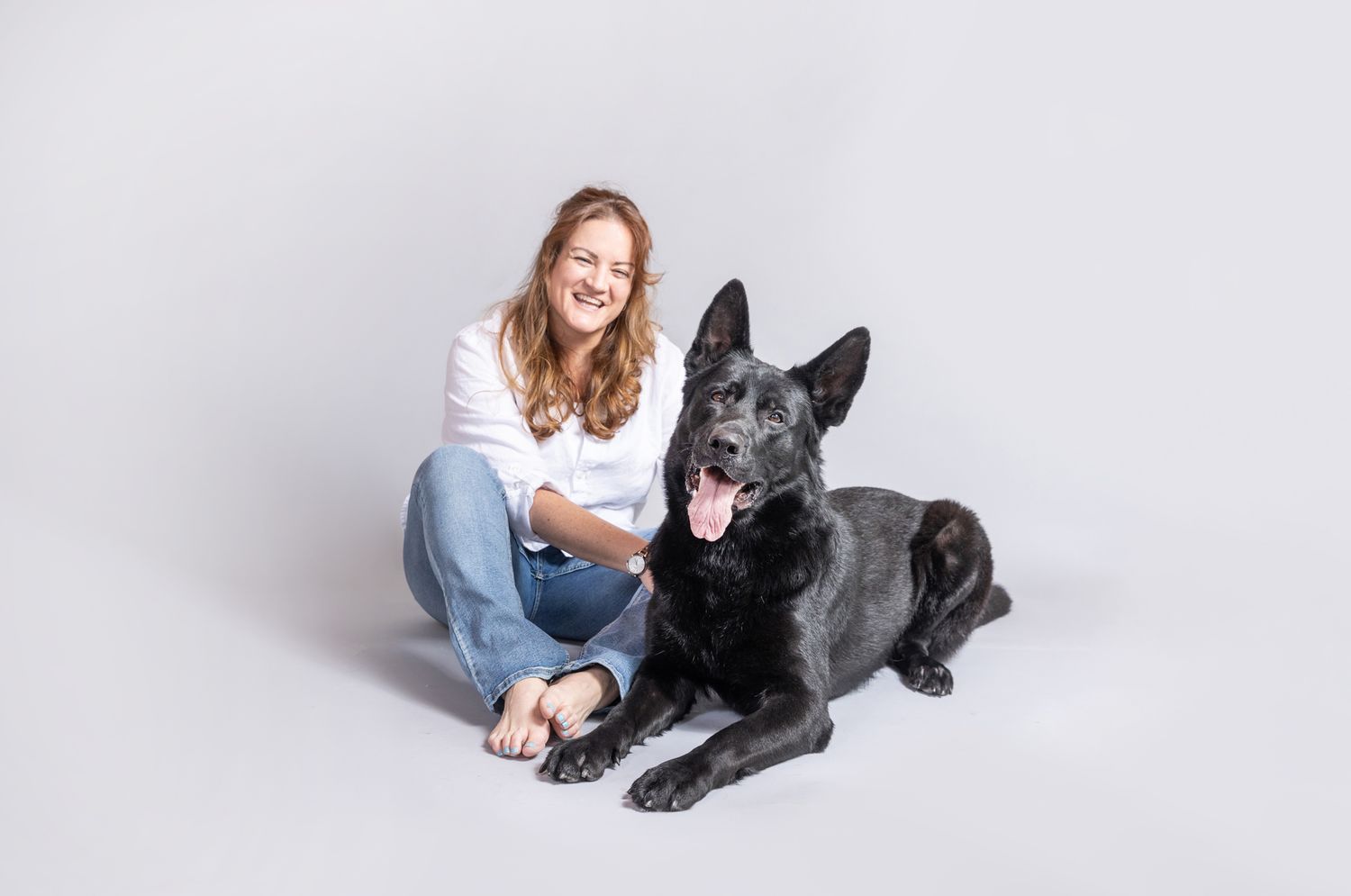 A beautiful black German Shepherd dog poses with someone in a studio setting against a gray background.