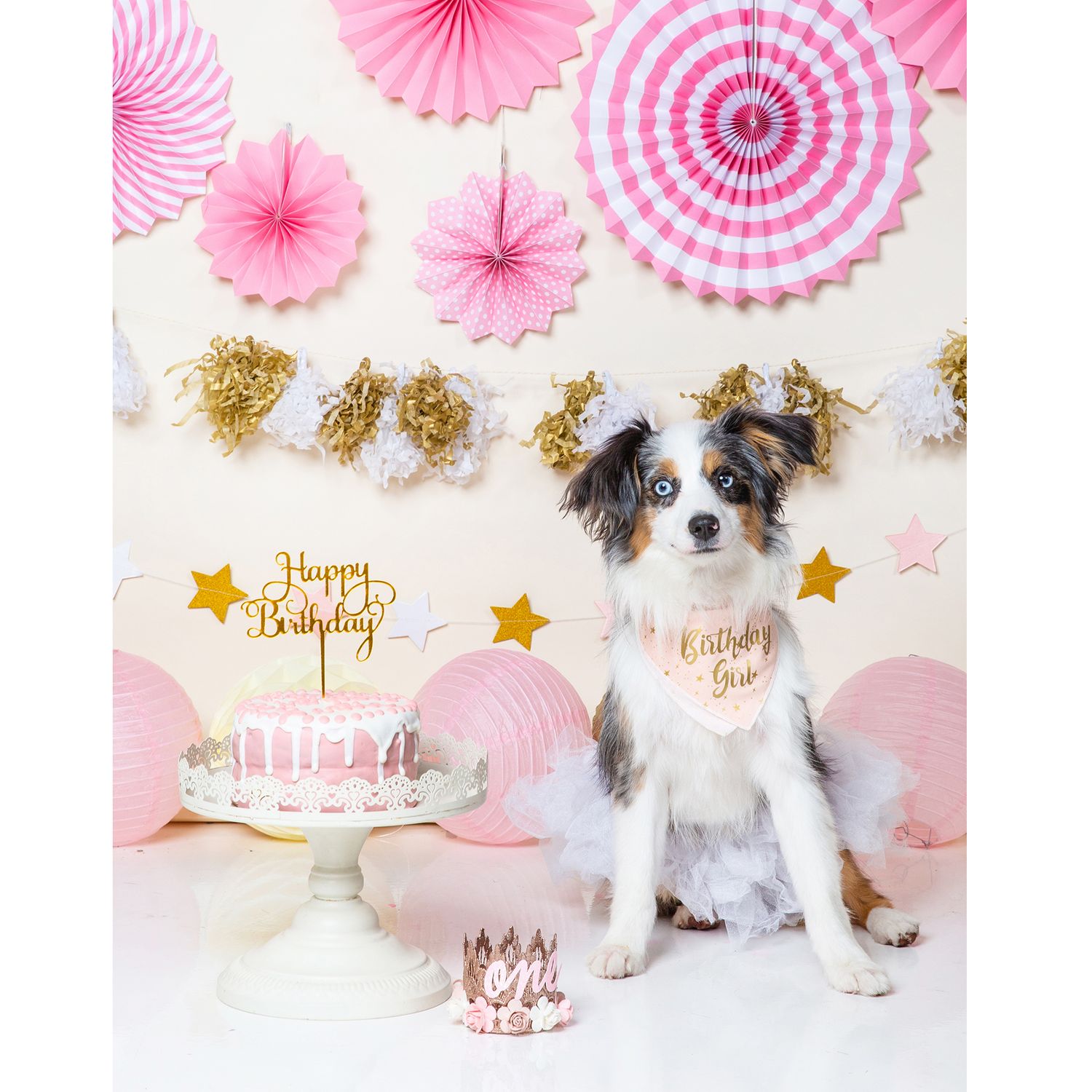 Adorable dog in birthday bandana sits beside pink cake, surrounded by pink paper fans and gold star decorations.