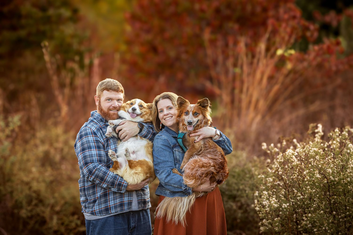 A fall portrait featuring two small dogs being held in a scenic autumn setting.