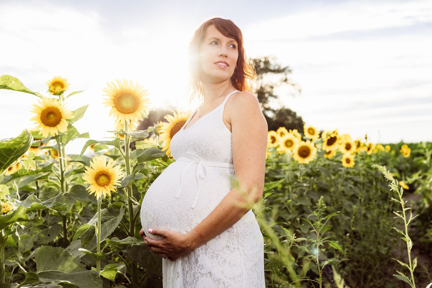 Expectant person in white dress stands among blooming sunflowers at sunset in a peaceful summer field.