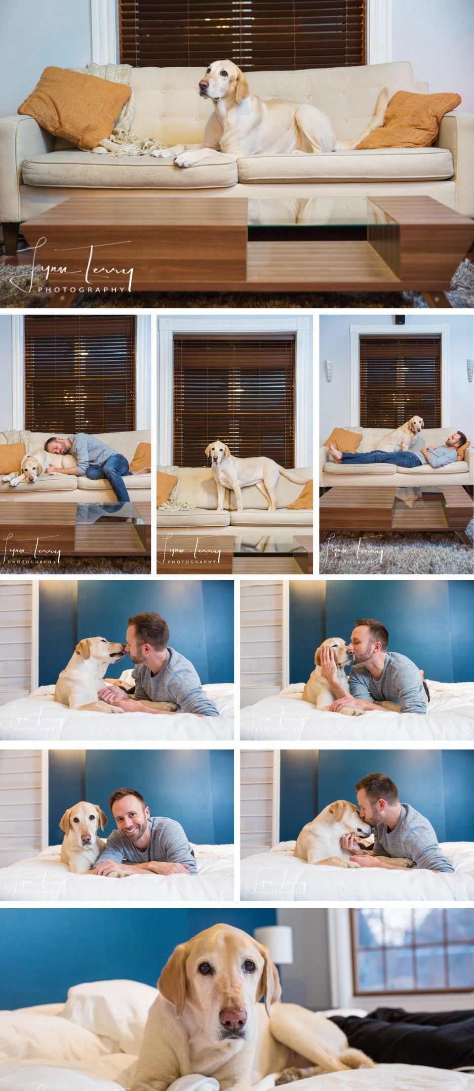 A yellow Labrador Retriever poses on a cream sofa with a man and woman in a cozy living room and bedroom photo series.