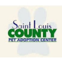 Pet adoption center logo featuring heart-shaped paw prints in green and burgundy.