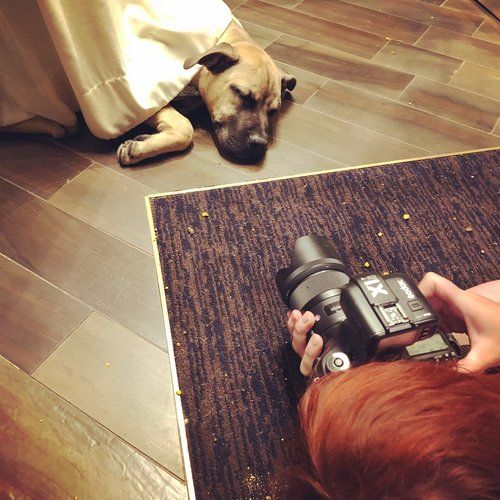 Dog resting on floor while photographer captures image from above with vintage camera.