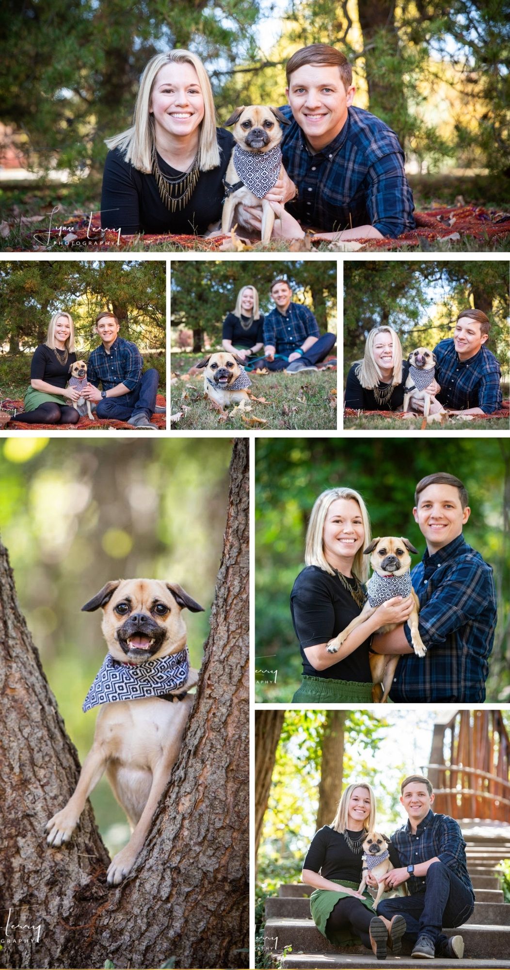 Engagement photos with small pug mix dog in outdoor park setting during fall season.