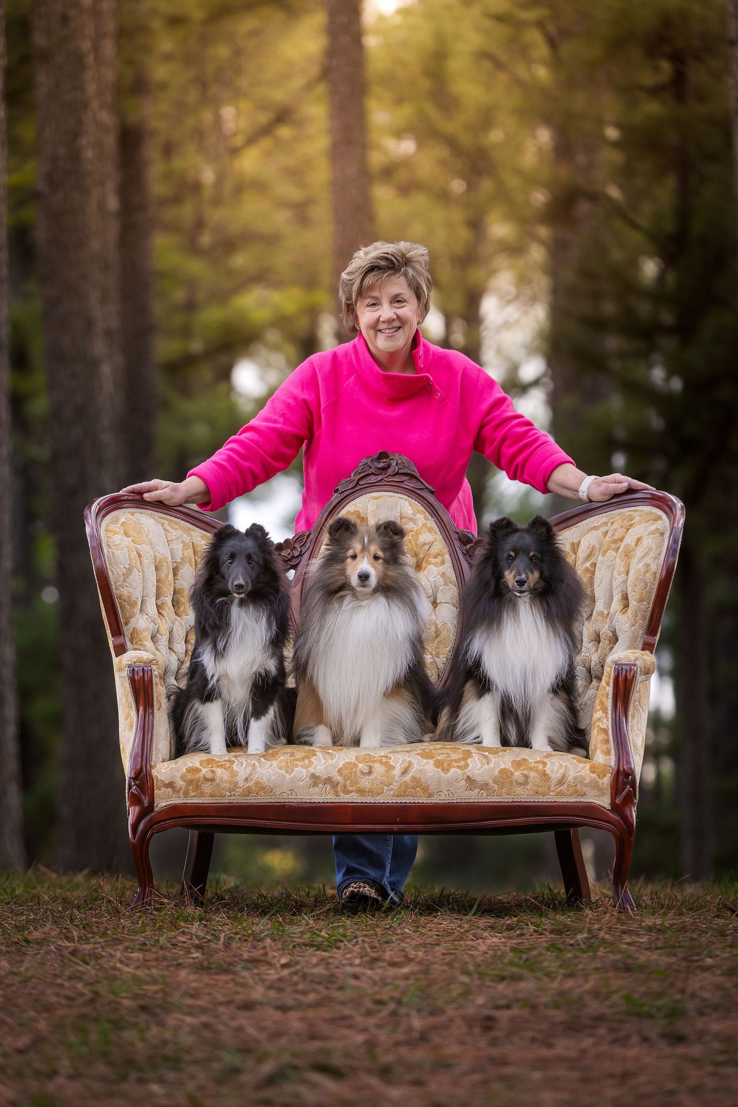 Woman in pink sweater posing with three Shetland Sheepdogs on ornate vintage sofa in forest setting.