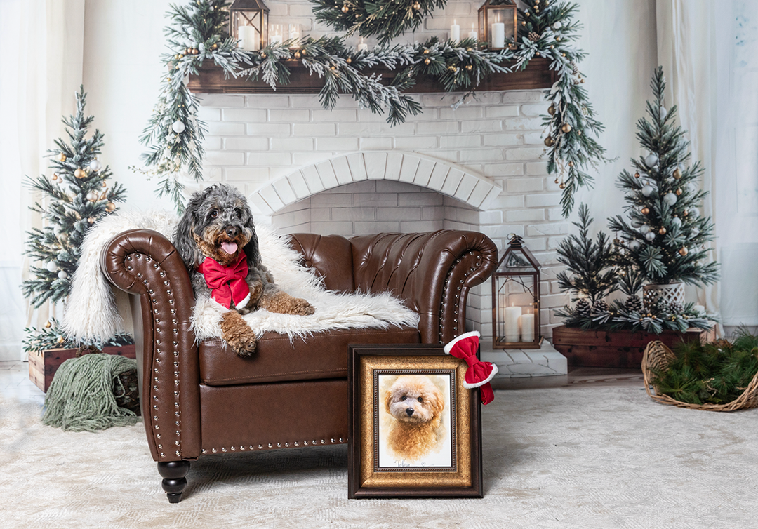 A fluffy dog in a red bandana sits on a leather sofa by a decorated fireplace with a framed pet portrait nearby.