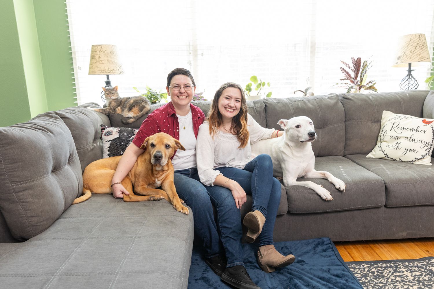 A cozy living room scene with two dogs lounging on a grey couch with their companions.