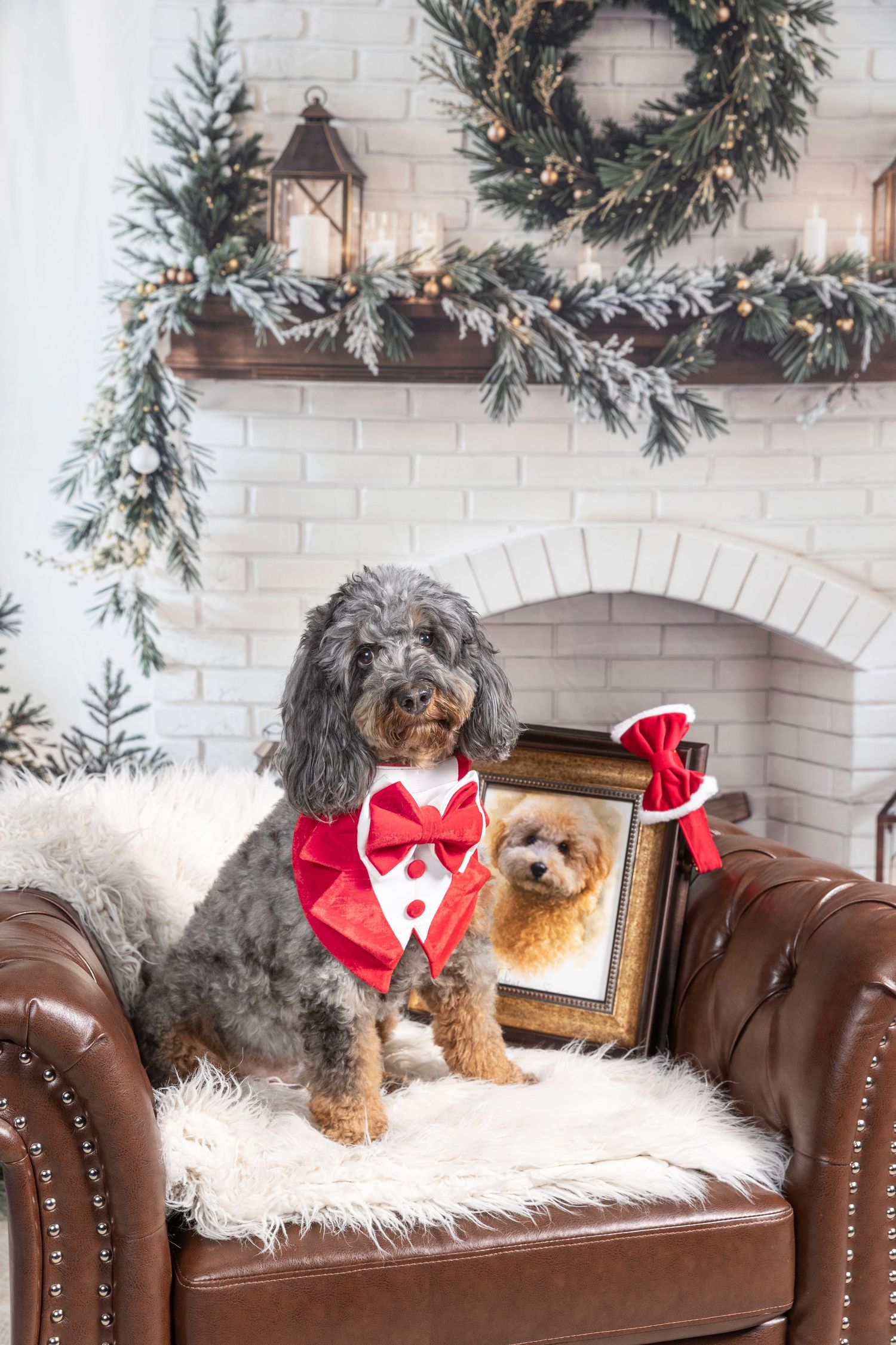 Two dogs in red tuxedo outfits pose on a leather chair with Christmas decorations and a fireplace backdrop.