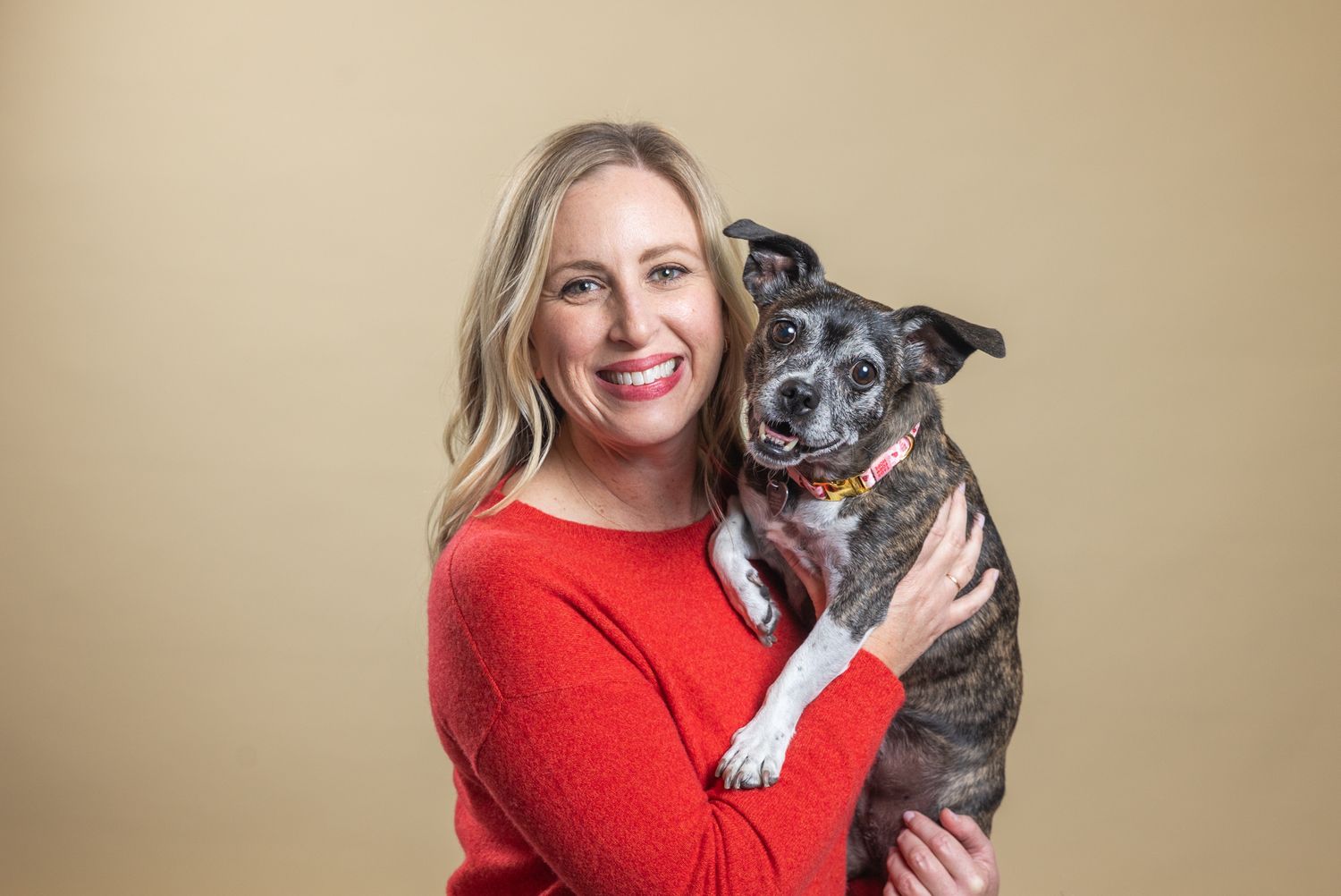 A joyful portrait of a grey and white dog being held against a beige background.