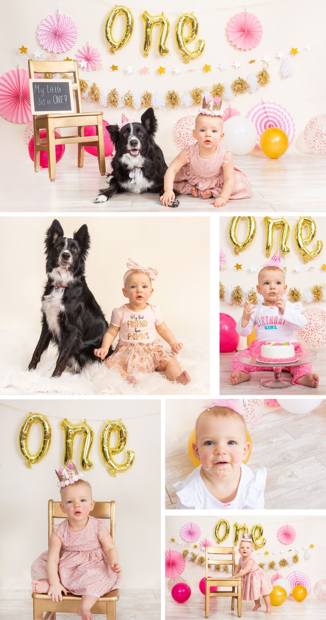 First birthday photo shoot featuring a black and white border collie and baby with party decorations.