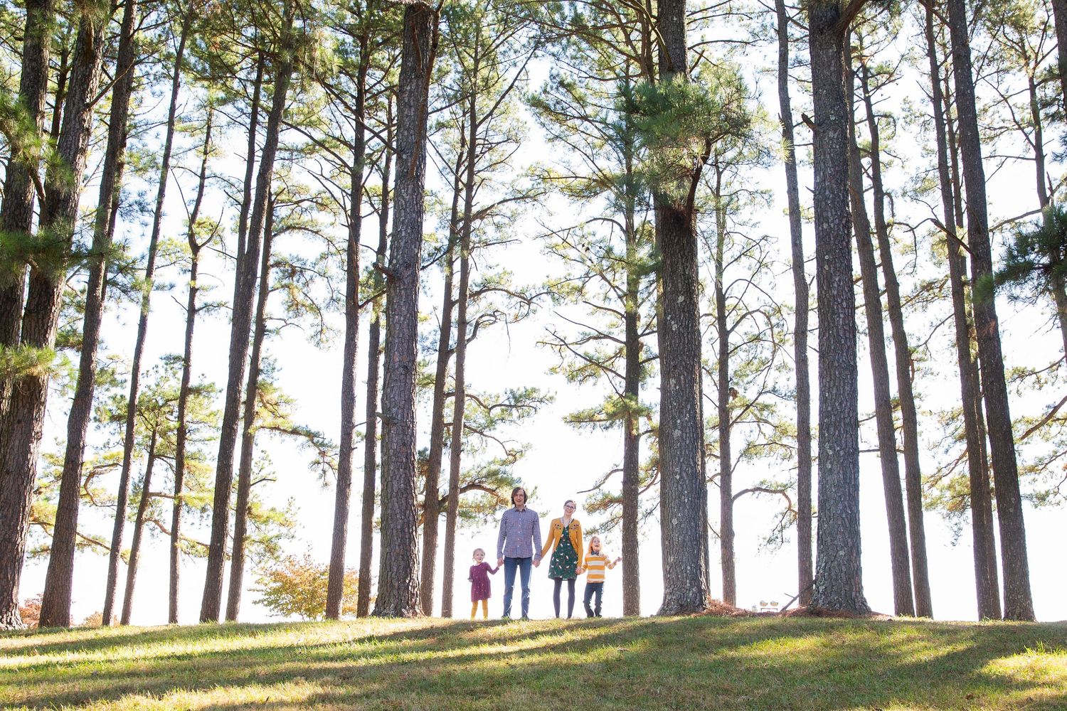 Family of three walking hand-in-hand through a sunlit pine forest on a grassy hill.