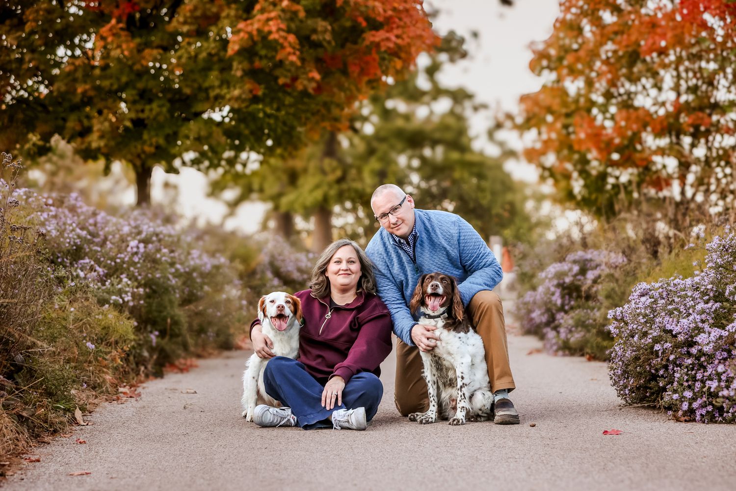 A scenic autumn pathway surrounded by colorful foliage with two dogs and their companions.