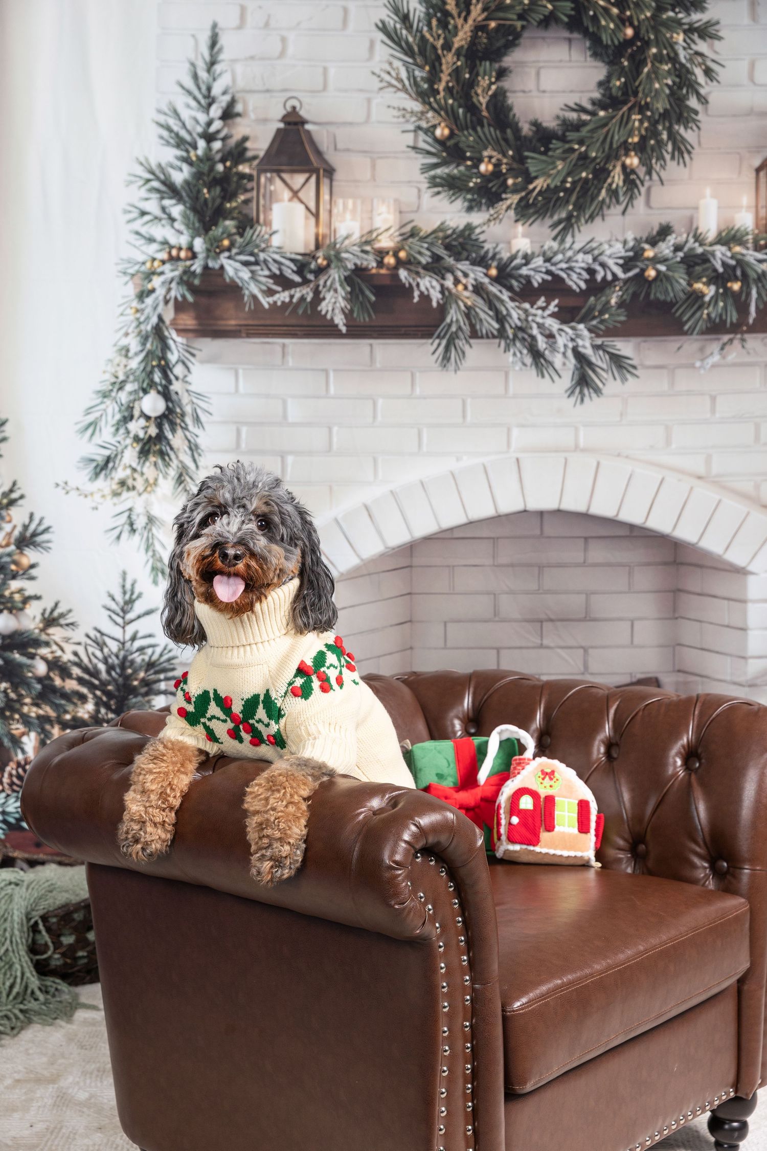 Fluffy dog in Christmas sweater sitting on leather chair by decorated fireplace with holiday wreath and garland.