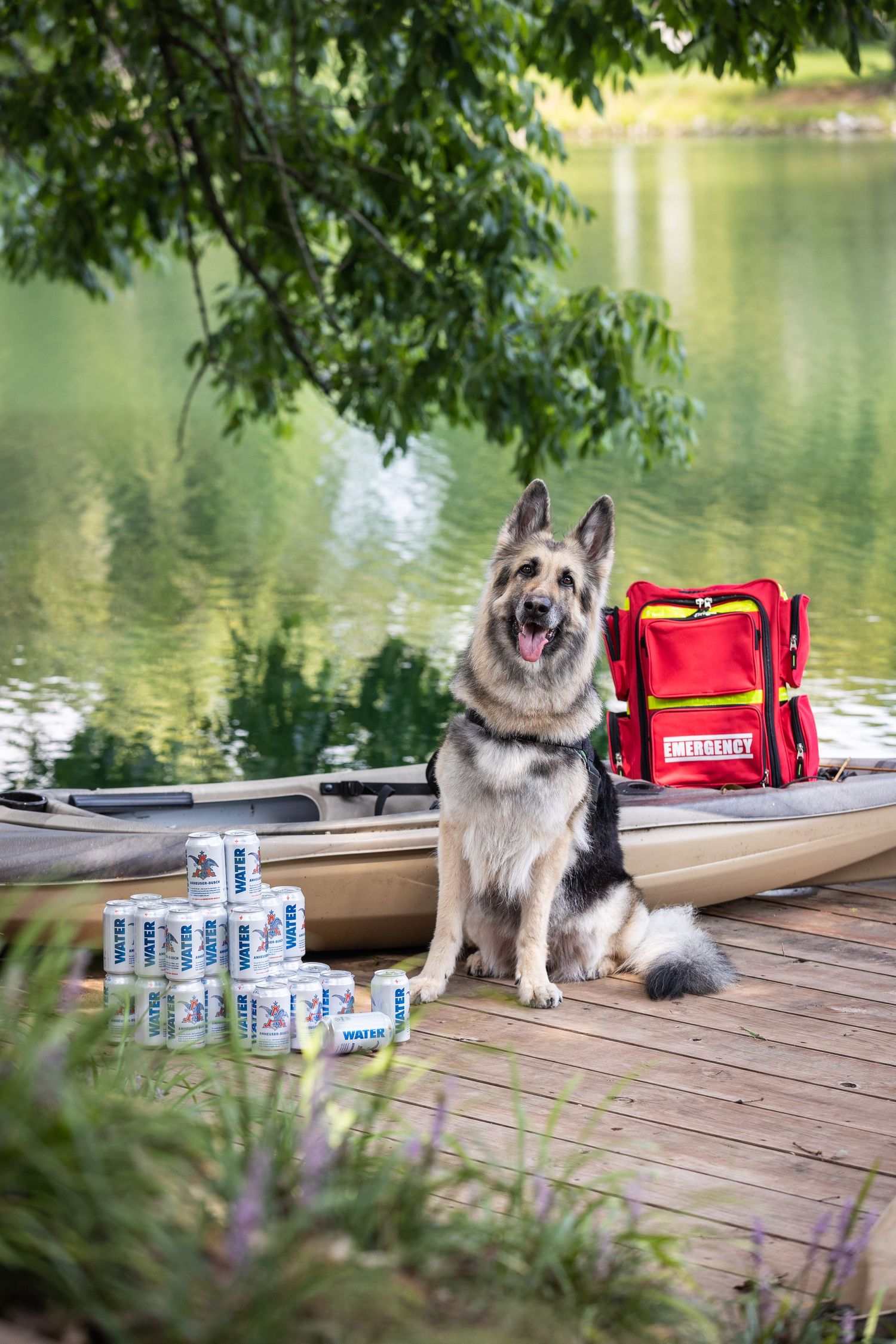 German Shepherd dog sits on dock by lake with emergency kit and water supplies.