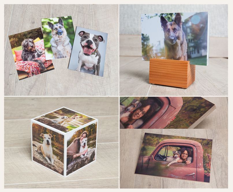 A collection of pet photo displays including prints and a decorative photo cube.