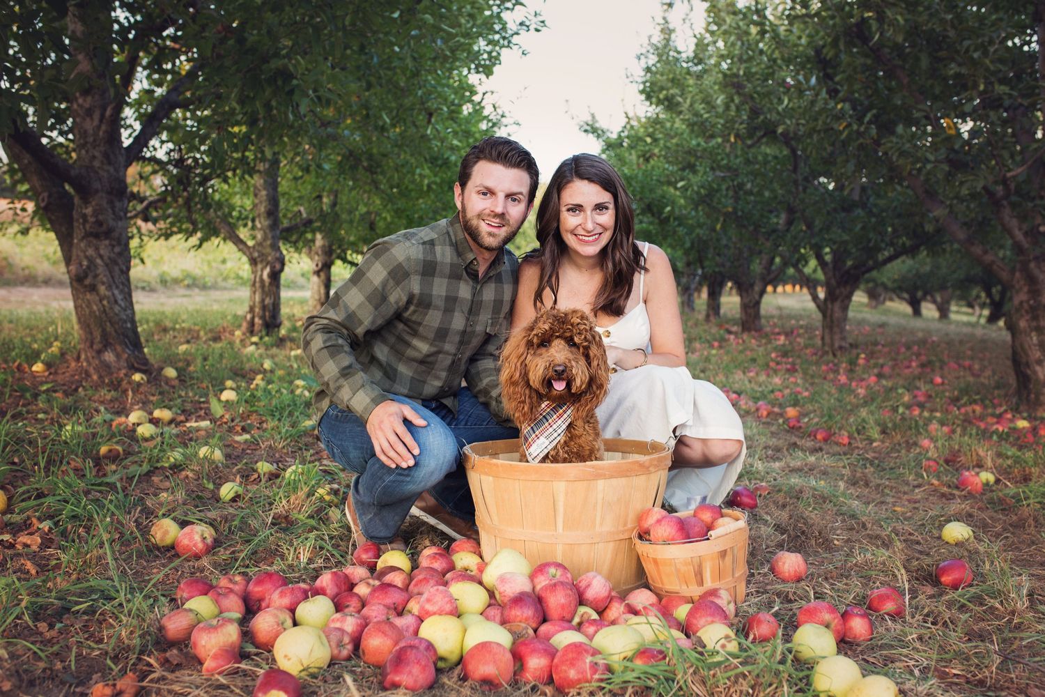 Autumn family photoshoot with scattered apples on grass.