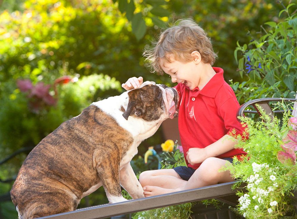 A sweet moment between a bulldog and young child sitting on a garden bench.