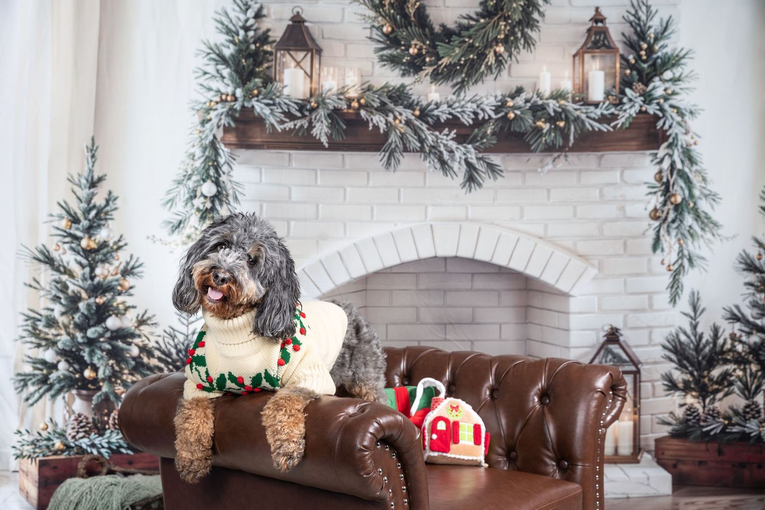 A fluffy dog wearing a festive sweater sits on a leather sofa beside a decorated Christmas fireplace.