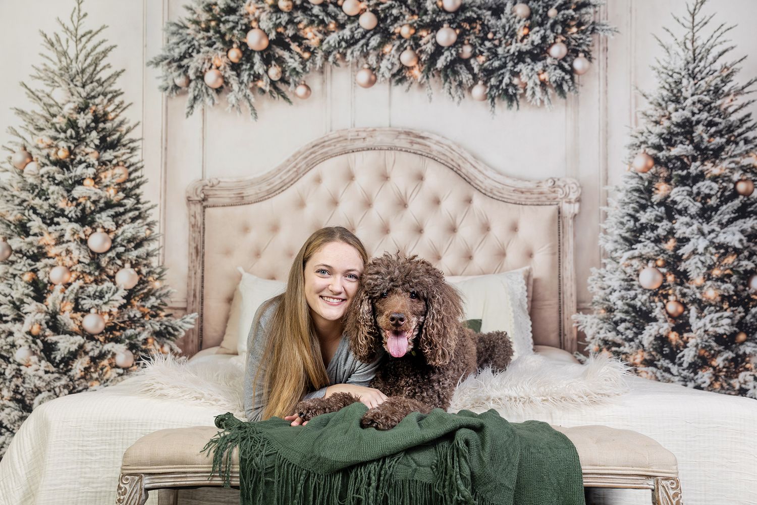 A chocolate poodle and companion sit together on an elegant tufted headboard with decorated Christmas trees in the background.