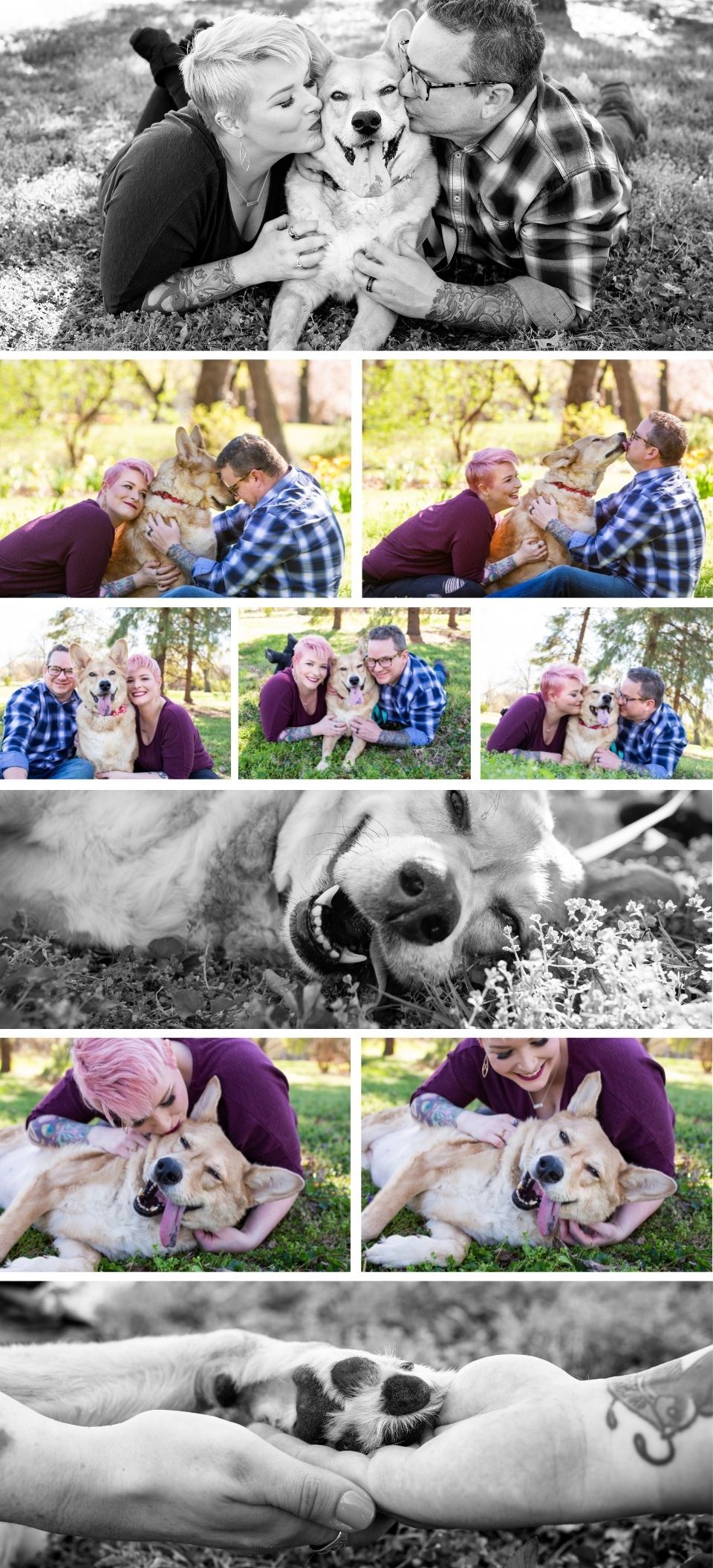 Couple and their Corgi dog enjoying a fun outdoor photo session in a grassy park, captured in color and black-and-white.
