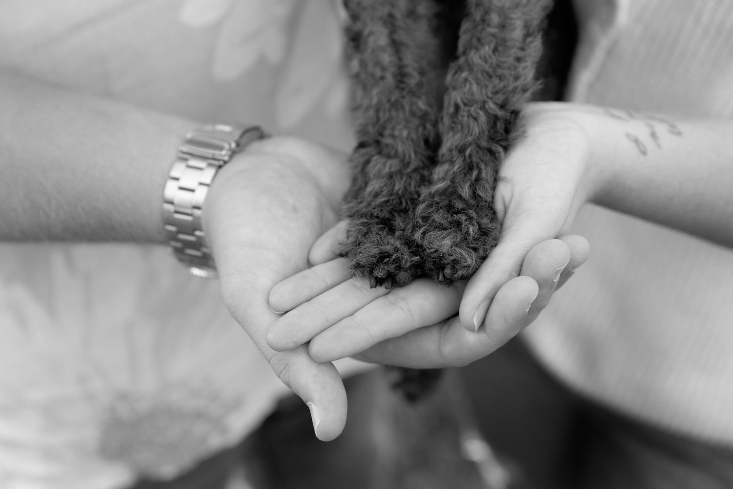Black and white photo of two adults cupping a child's small hands together in a tender, loving gesture.