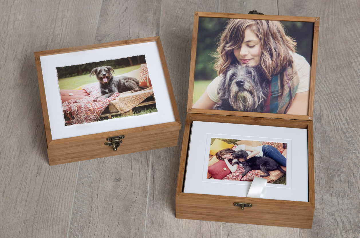 Three wooden keepsake boxes displaying cherished pet photos with dogs and their companions.