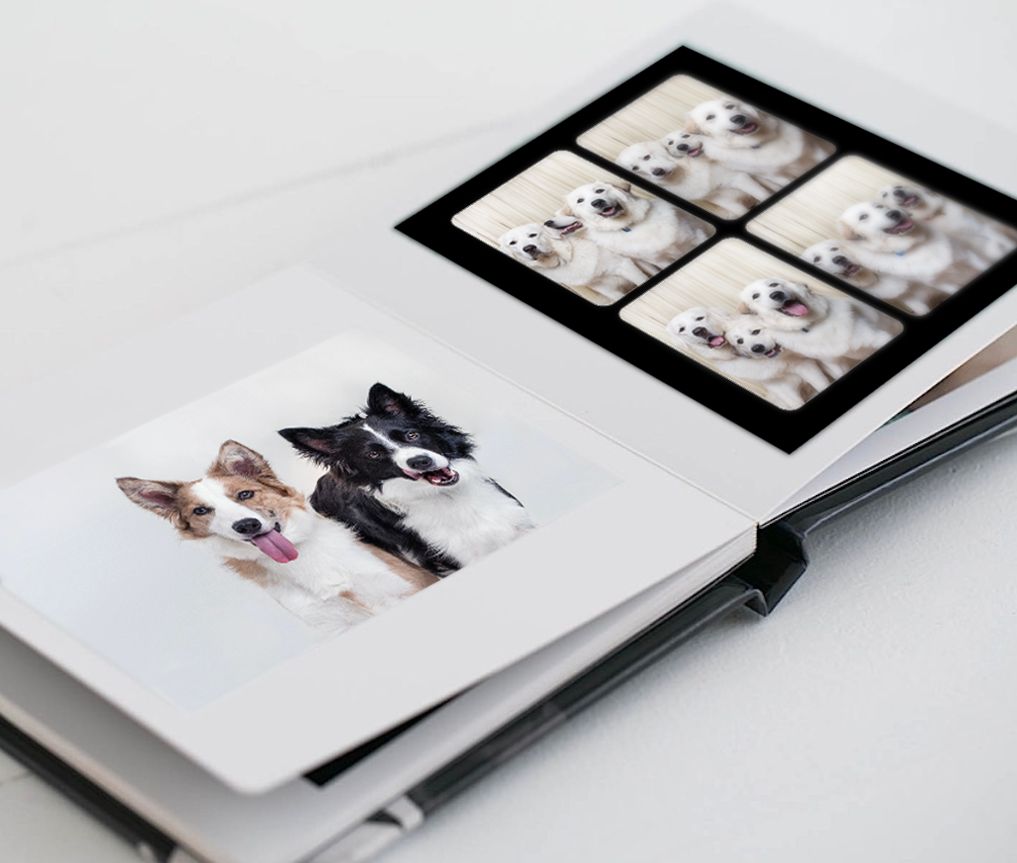 An open photo album displaying black and white portraits of dogs on white pages.