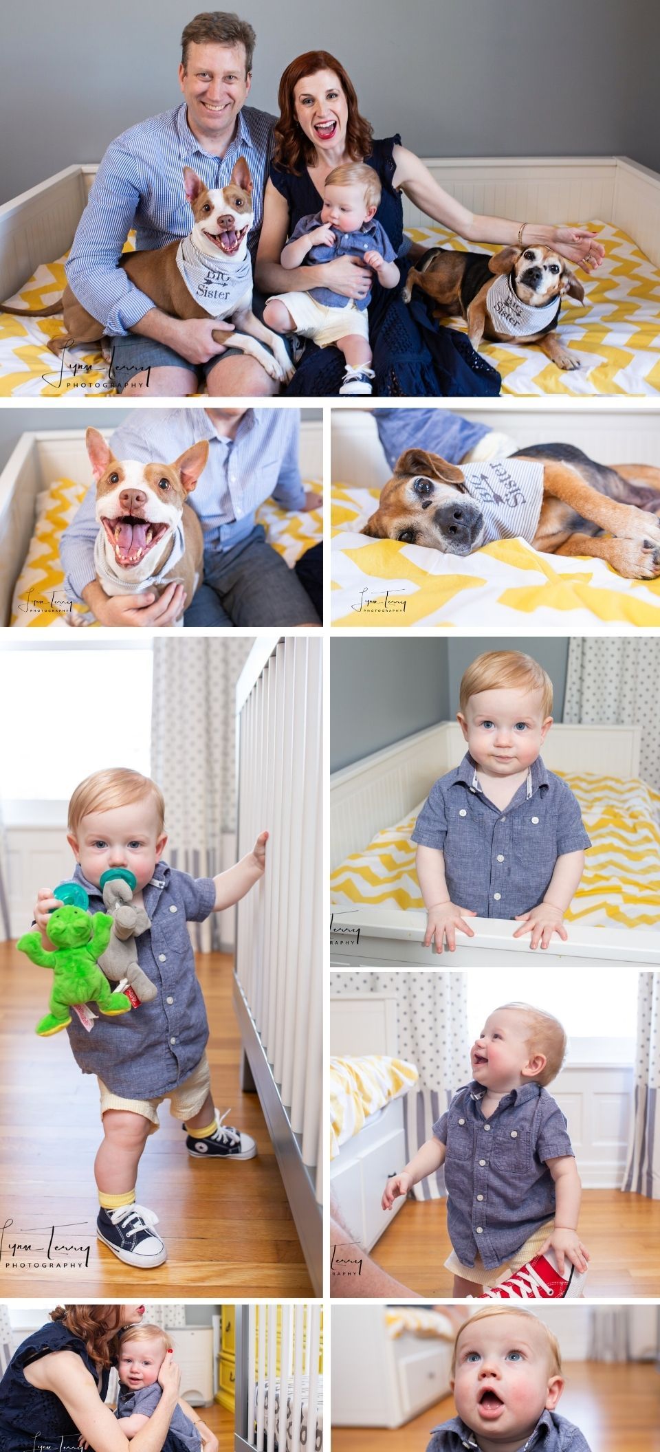 Indoor family lifestyle photos with pets on a yellow chevron blanket and toddler candid moments.