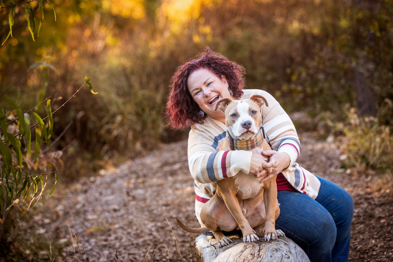 A pit bull mix dog cuddling with their companion amid golden autumn foliage.