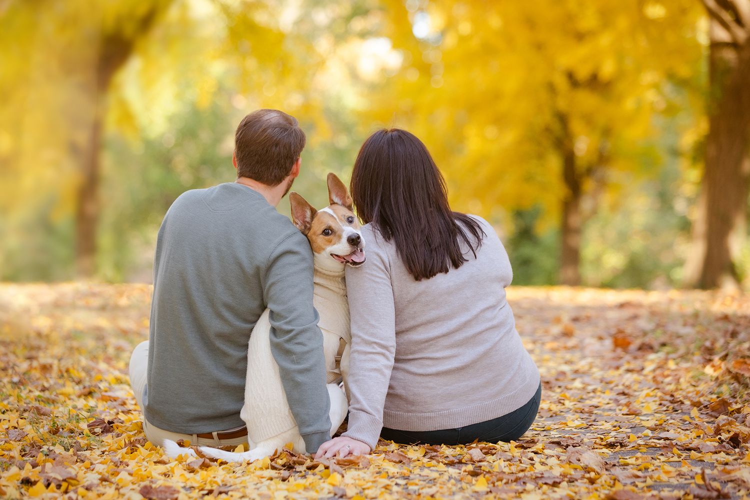 Couple sitting with their corgi dog on fallen leaves during autumn.