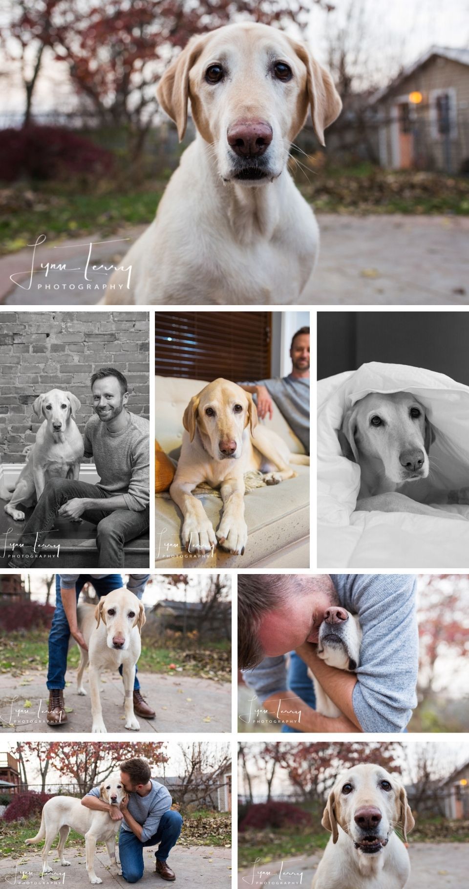 A yellow Labrador dog poses with its owner in a professional outdoor photo session by Lynn Lanning Photography.