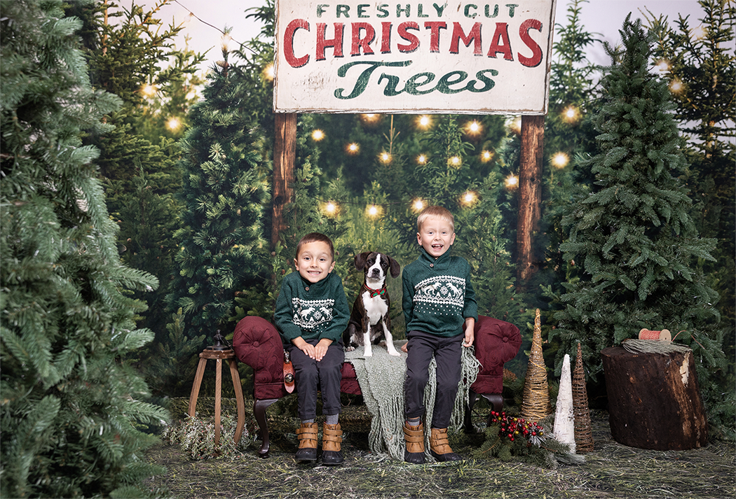 Two boys and a dog pose at a festive Christmas tree farm with string lights and a holiday sign.