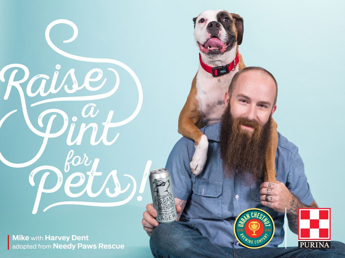 Bearded man holding pit bull and beer can in Raise a Pint for Pets campaign by Purina.