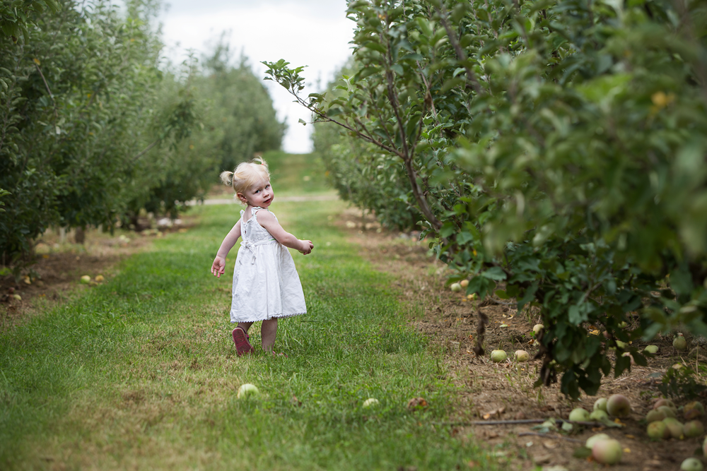 Young child in white dress explores apple orchard on sunny day.