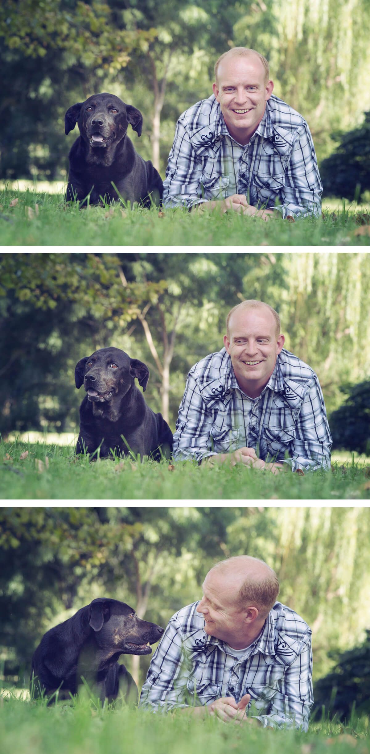Multiple candid shots of a black dog and companion enjoying time together in a park.