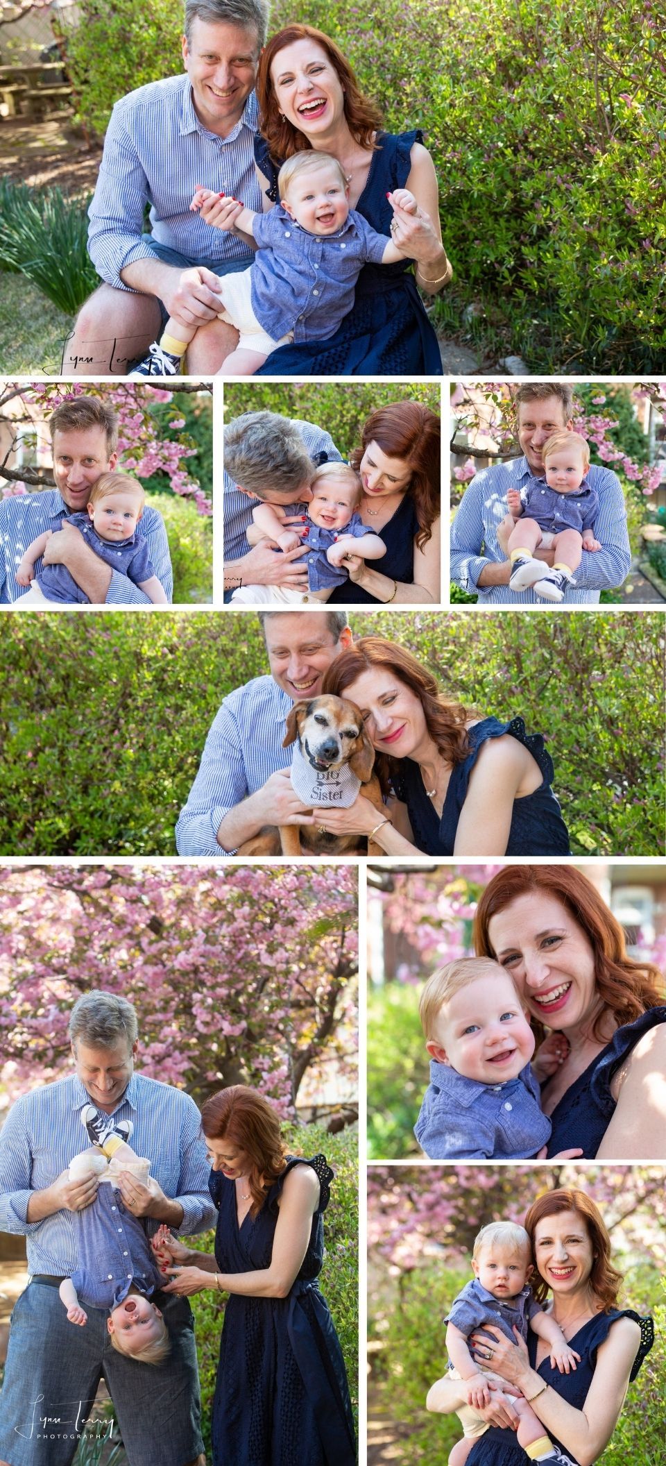 Family photo collage with parents, baby, and dog outdoors among blooming spring flowers in a garden setting.