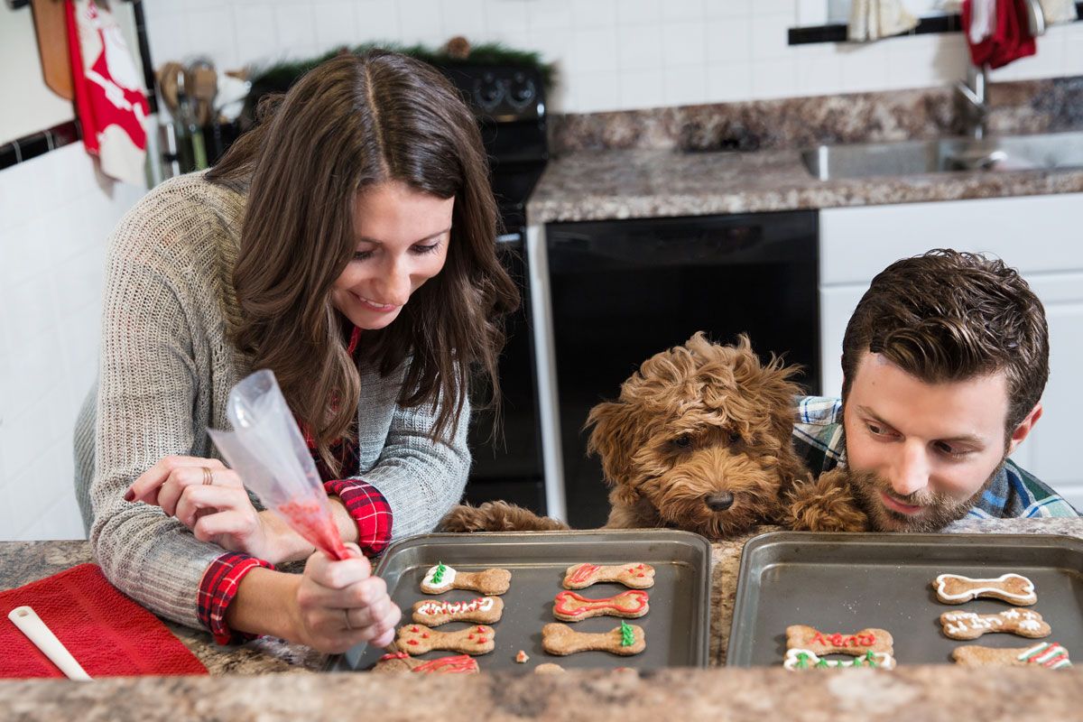 A couple and their brown dog decorate holiday cookies together in their kitchen.