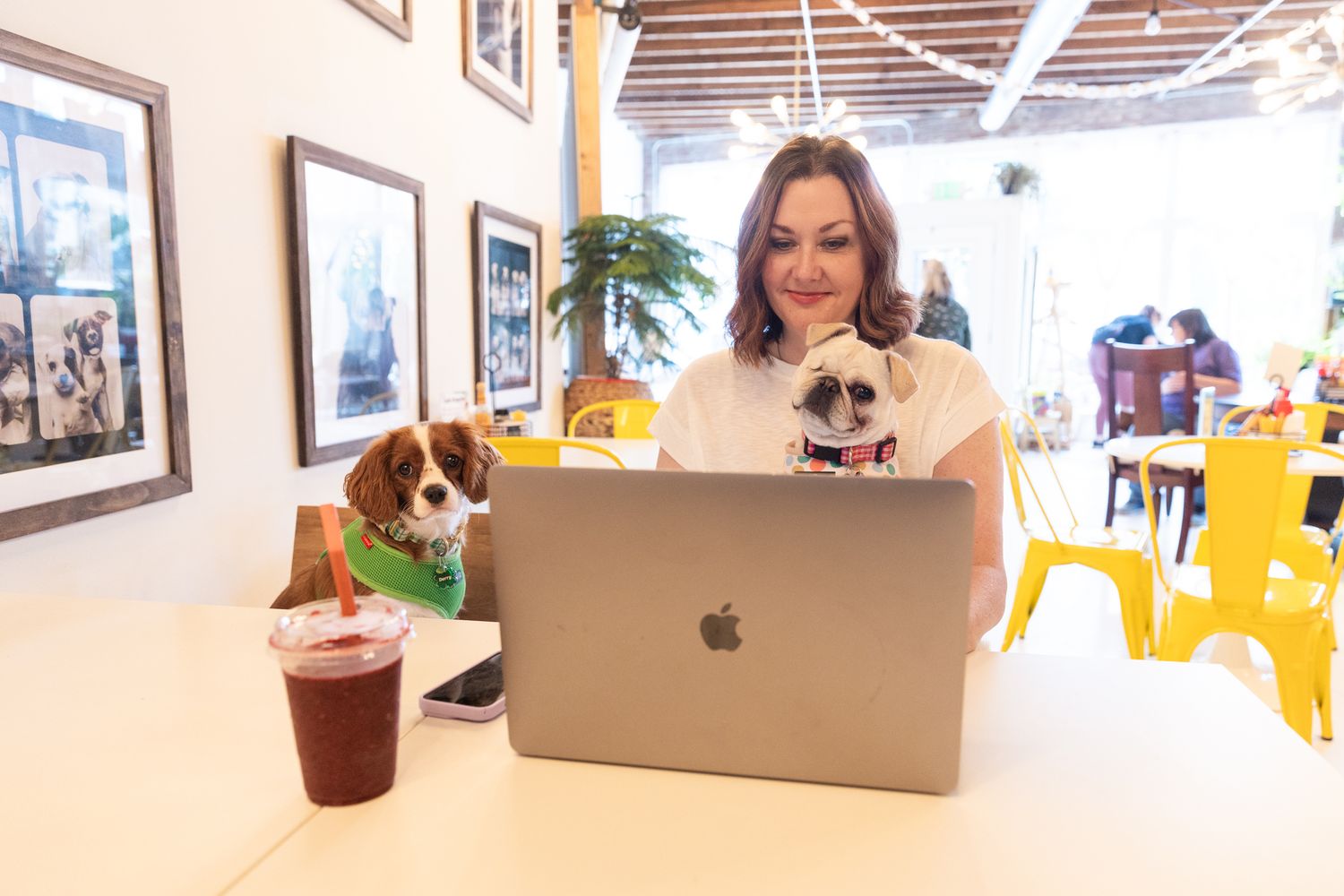 Someone working on a laptop at a cafe table with two dogs sitting beside them and framed artwork on the wall.
