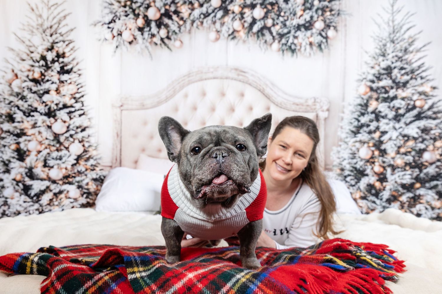 Woman and French Bulldog in Christmas sweater pose on bed with festive plaid blanket and decorated trees.