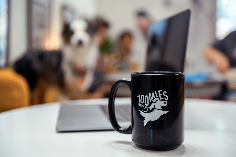 Black coffee mug with Zoodles logo sits on desk with laptop and dog in background.