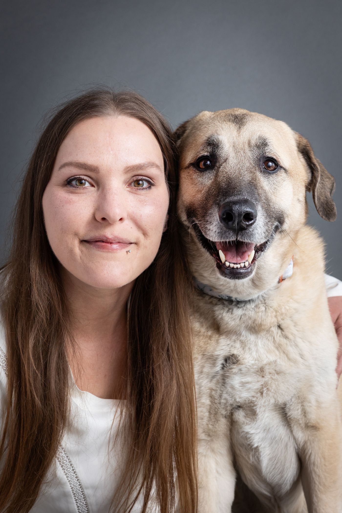A heartwarming close-up portrait of a smiling German Shepherd mix dog with long fur.