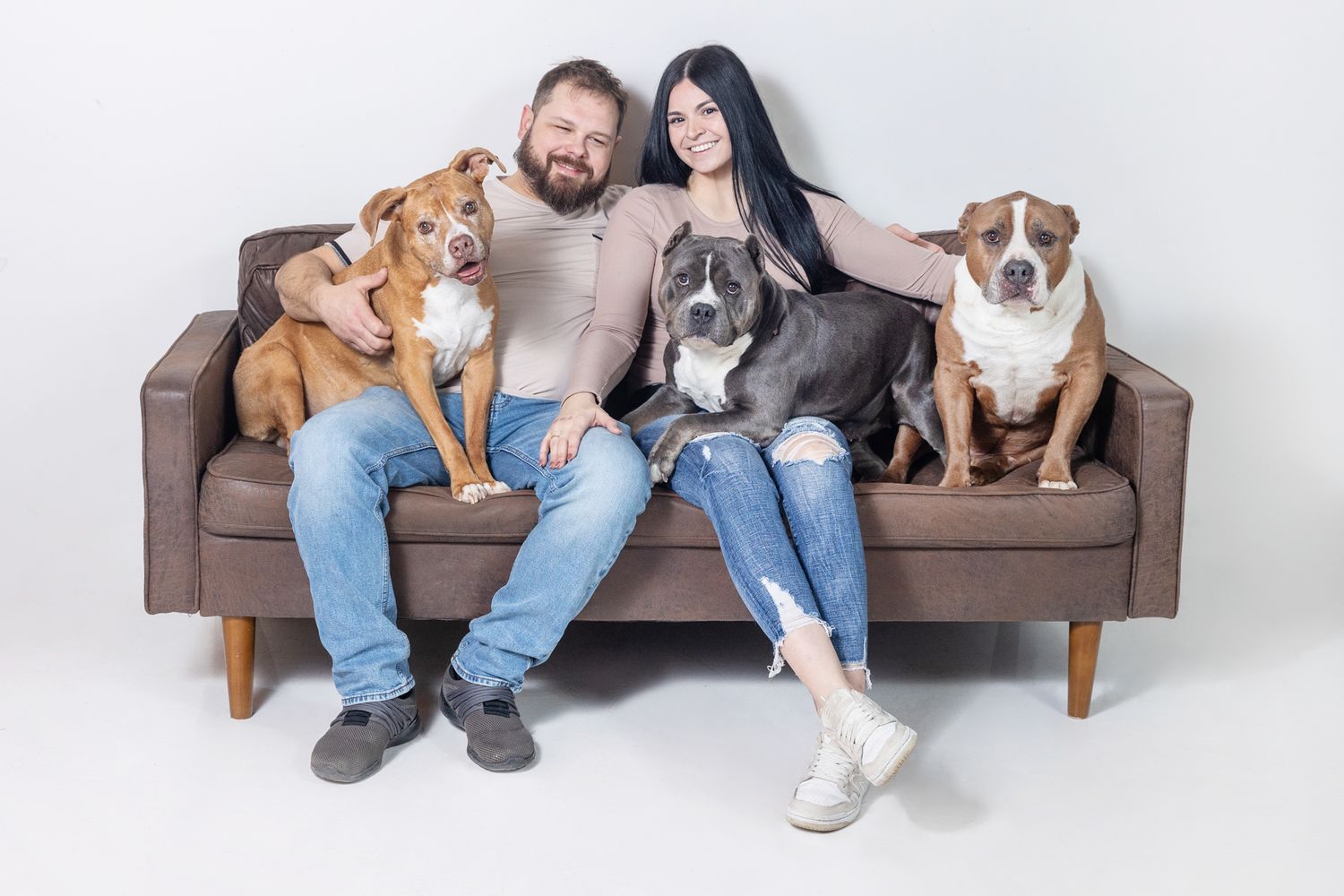 Four happy dogs of different breeds sitting with their companions on a modern brown couch.