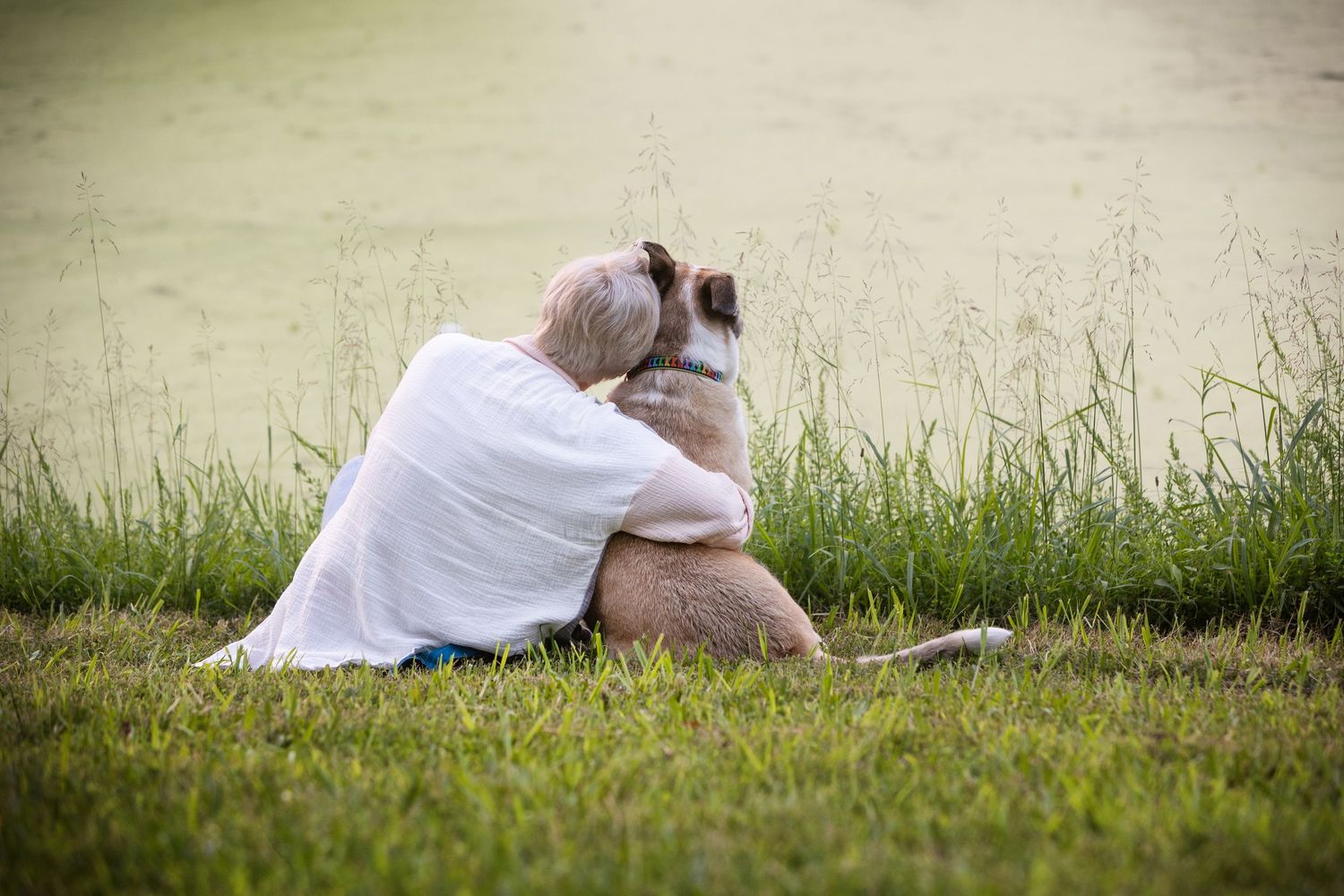 Person sitting on grass hugging a dog near a calm lake surrounded by tall green reeds.