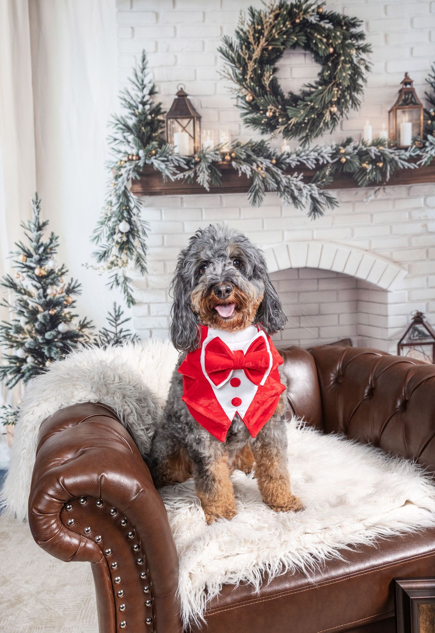 Fluffy dog in red tuxedo bandana sits on leather chair with Christmas wreath and snowy trees.