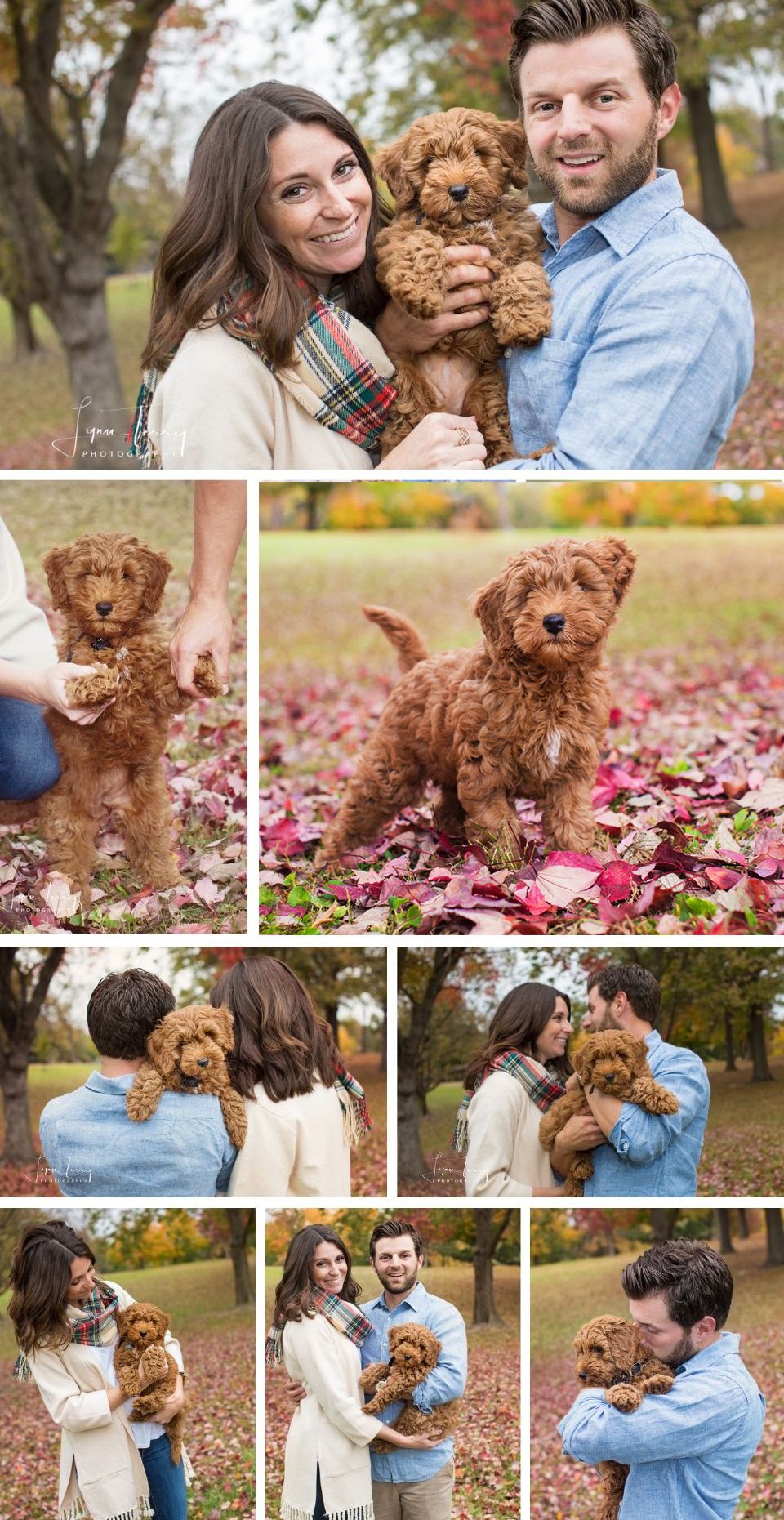 Professional photoshoot of a brown goldendoodle puppy with owners outdoors in autumn featuring fallen leaves.