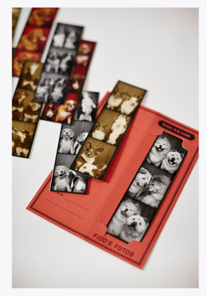 Vintage style photo strips showing multiple black and white pet photos in red frames.