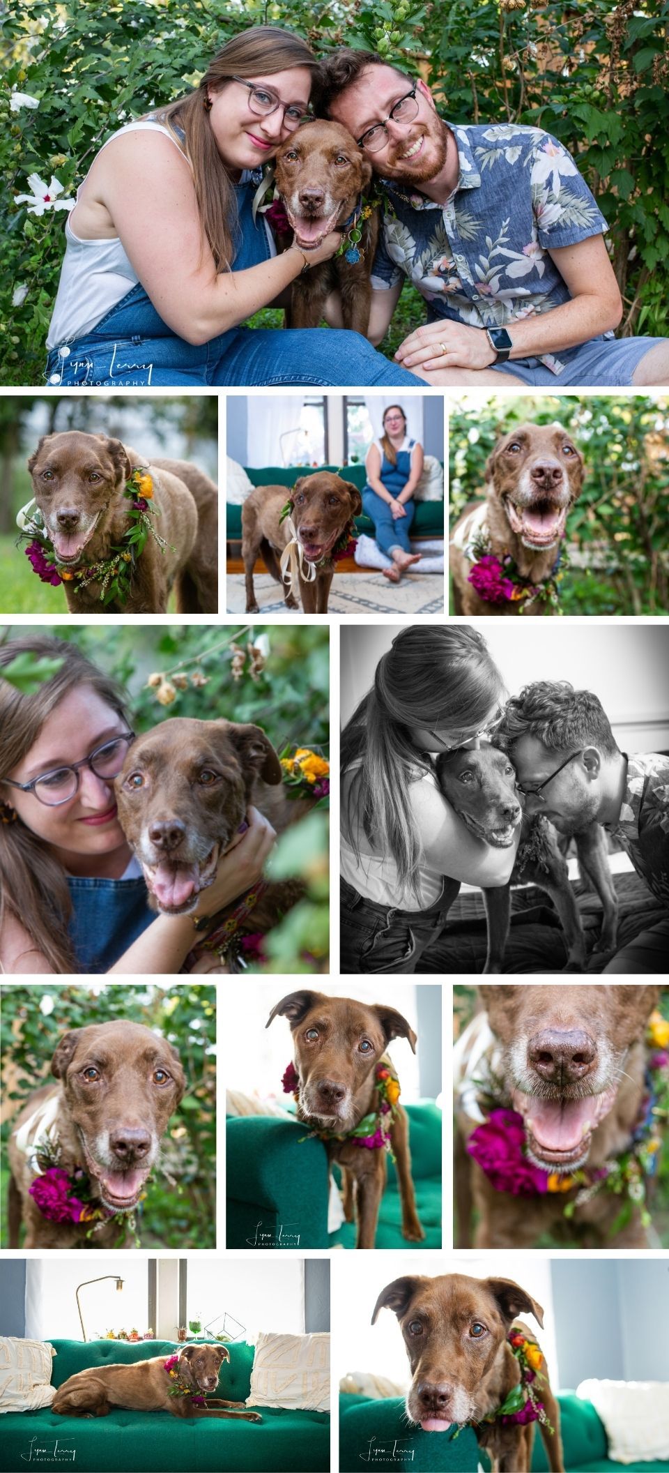 A collage of a couple with their brown dog wearing floral collar, featuring portraits and candid moments indoors and outdoors.