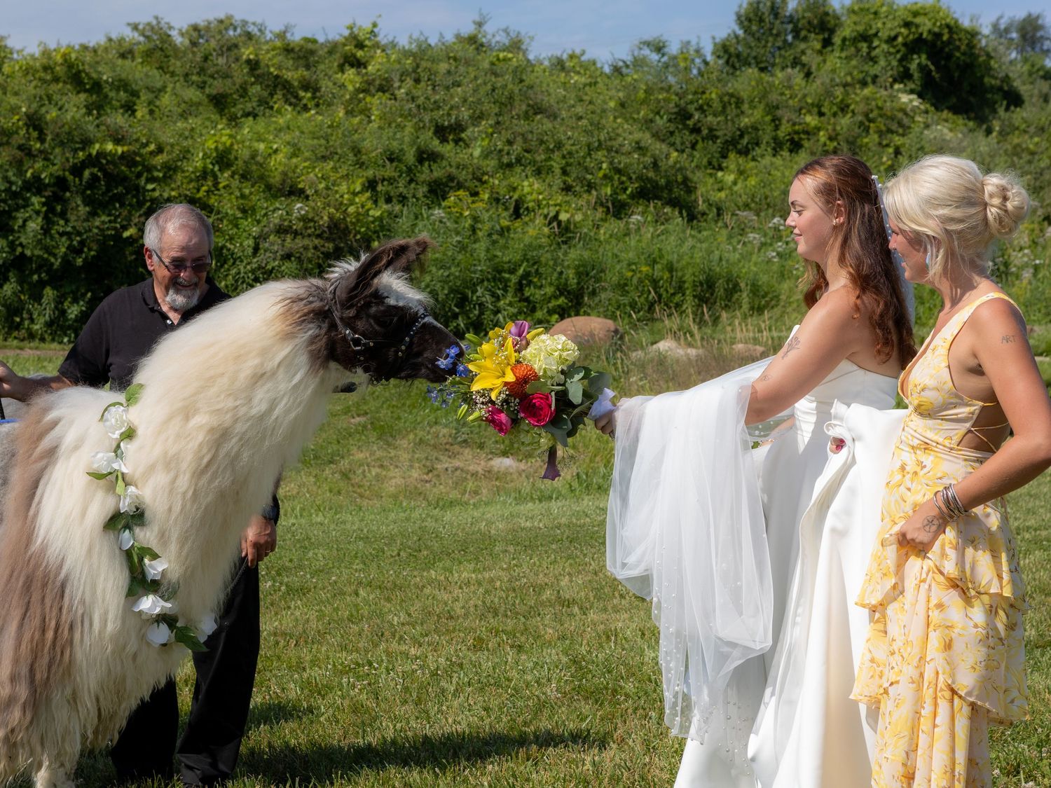 Little Falls Wedding Photographer, Central NY Wedding Photographer, Paradise Gardens Wedding