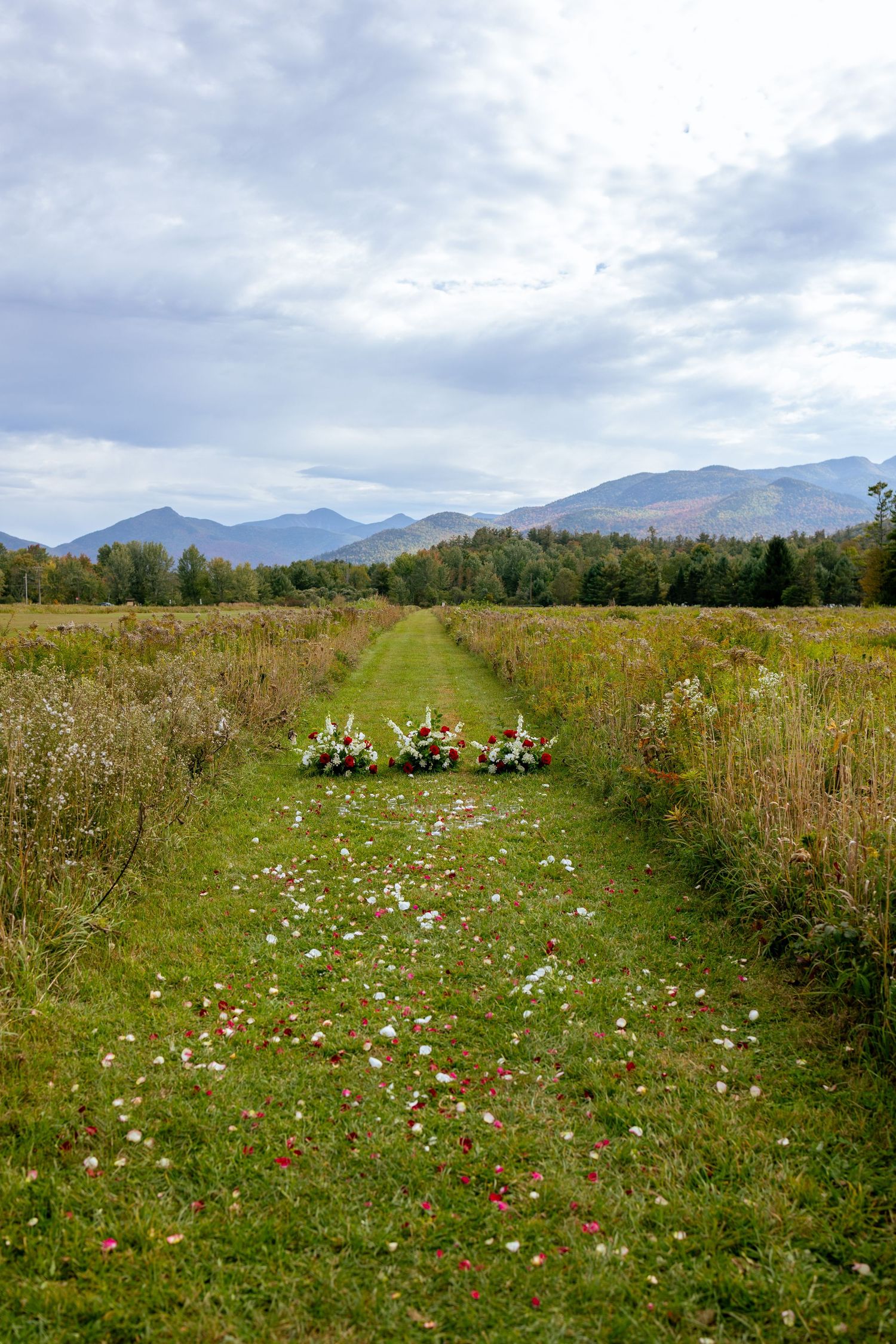 Adirondack Proposal Photographer, Marcy Field, Keene Valley New York, New York Engagement Photographer, Fall Engagement Photos